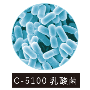 TtNgbLEPAb擾Fy C-5100_